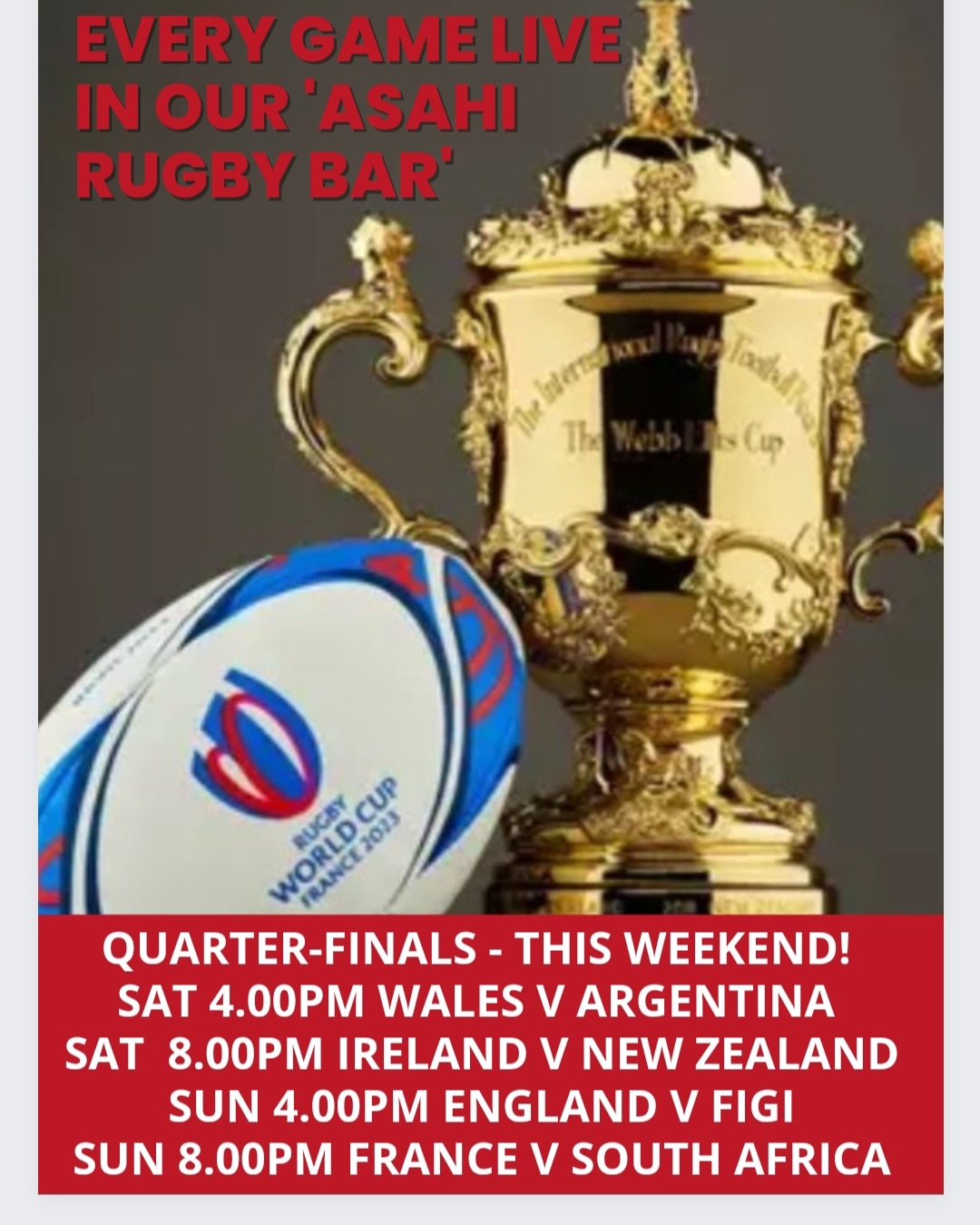 Live Rugby World Cup on TV at The Oak Inn Staplow Ledbury, Herefordshire